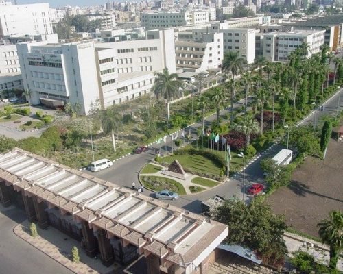 Mansoura_University