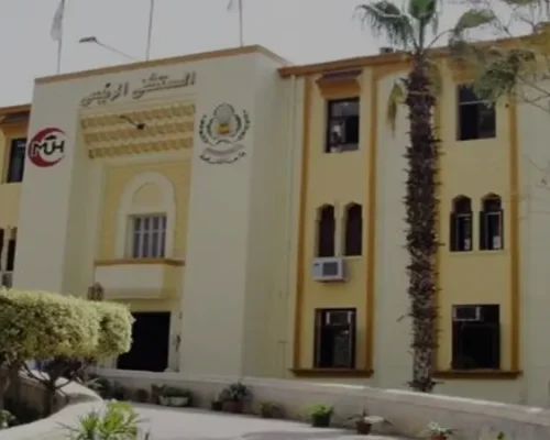 mansoura-university mansoura-university